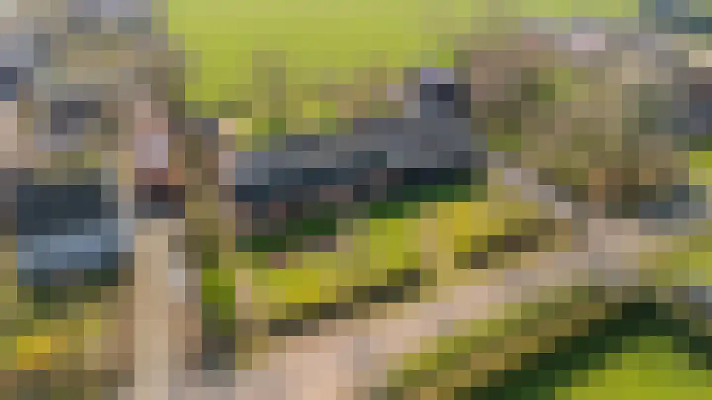 Papenvoorden 8 Oirschot