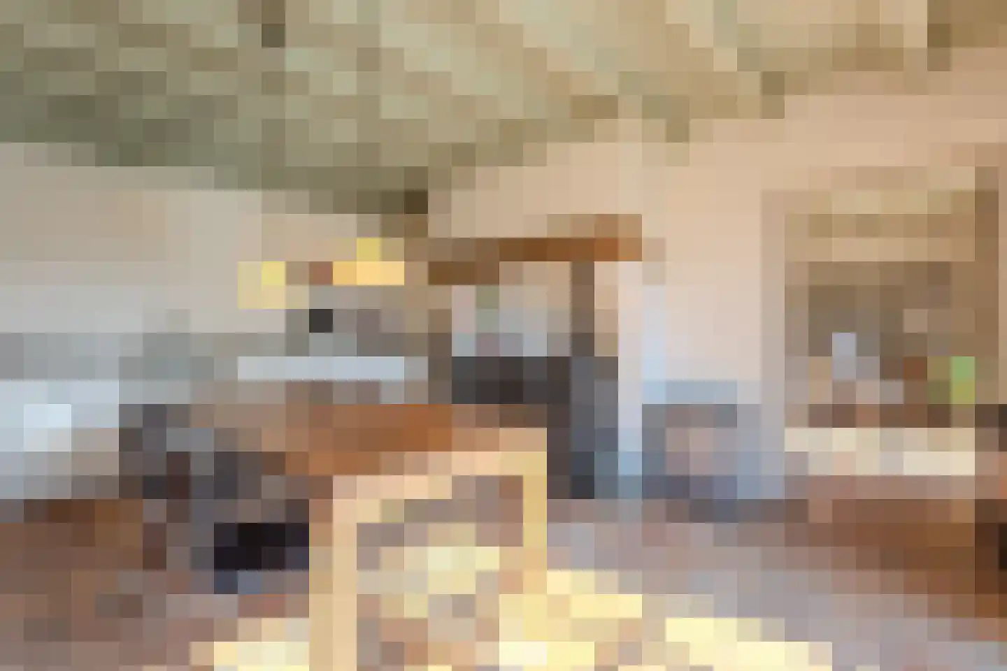 Papenvoorden 8 Oirschot thumbnail 13