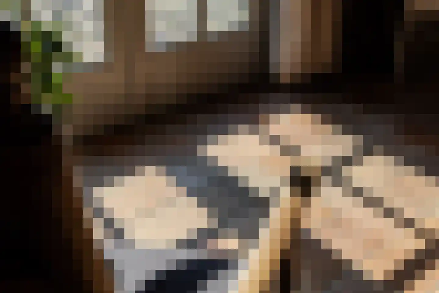 Papenvoorden 8 Oirschot thumbnail 16