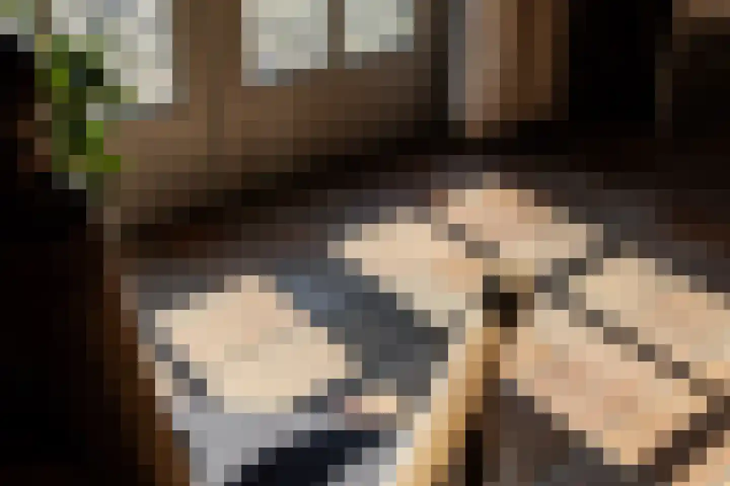 Papenvoorden 8 Oirschot thumbnail 16