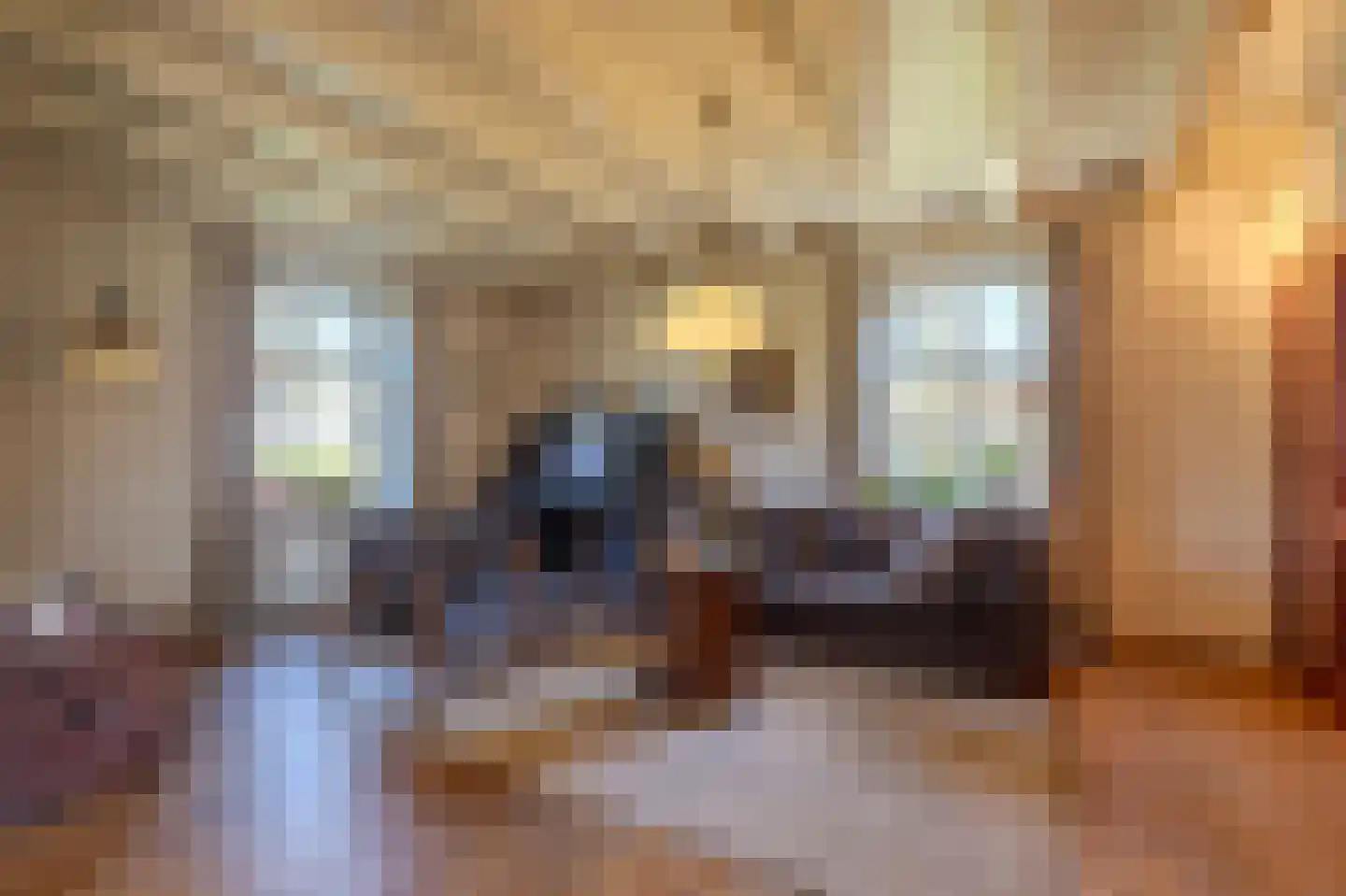 Papenvoorden 8 Oirschot thumbnail 18