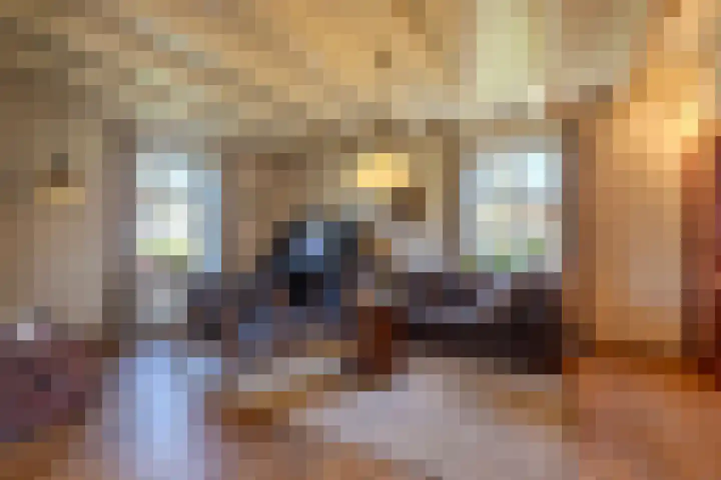 Papenvoorden 8 Oirschot thumbnail 18