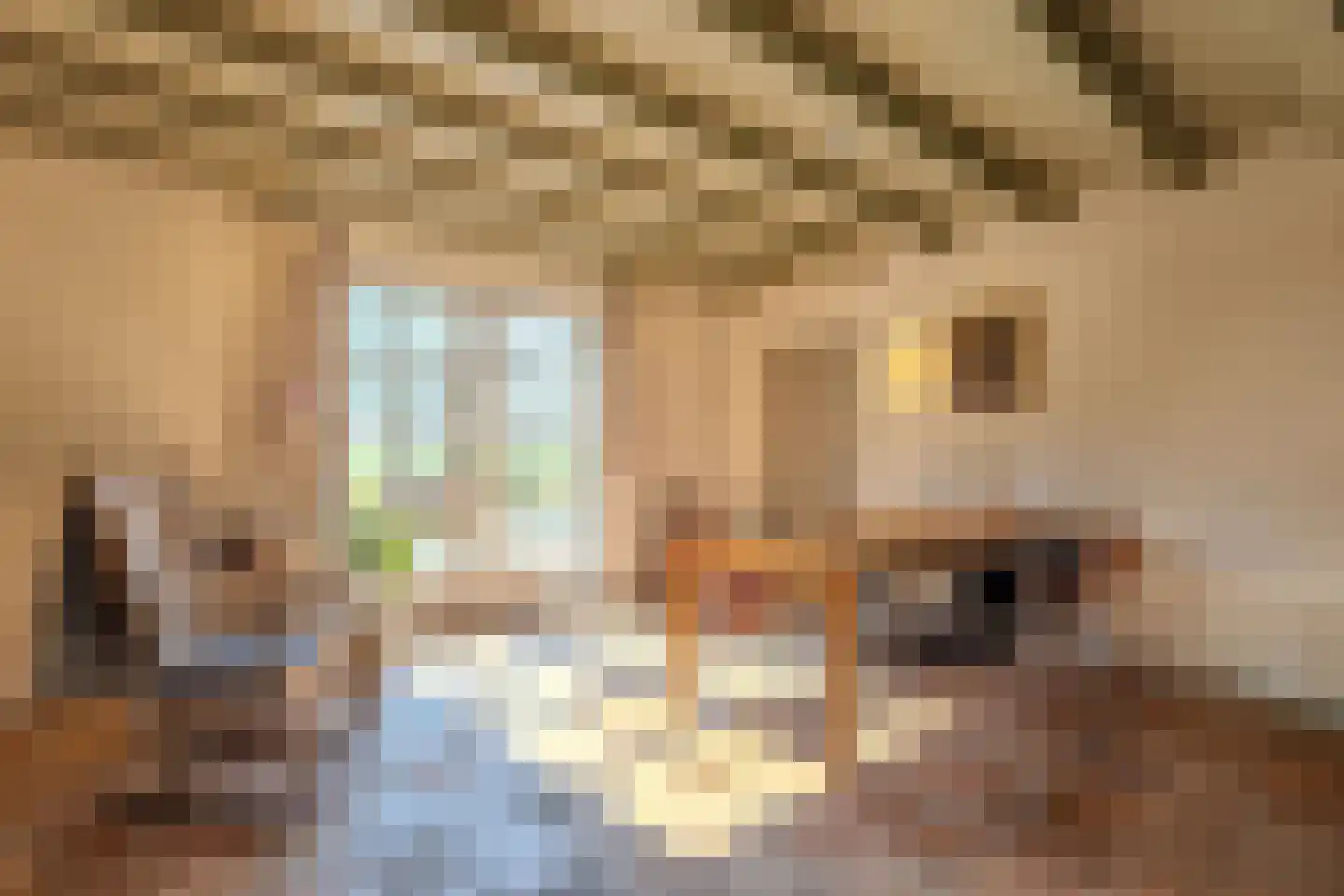 Papenvoorden 8 Oirschot thumbnail 24