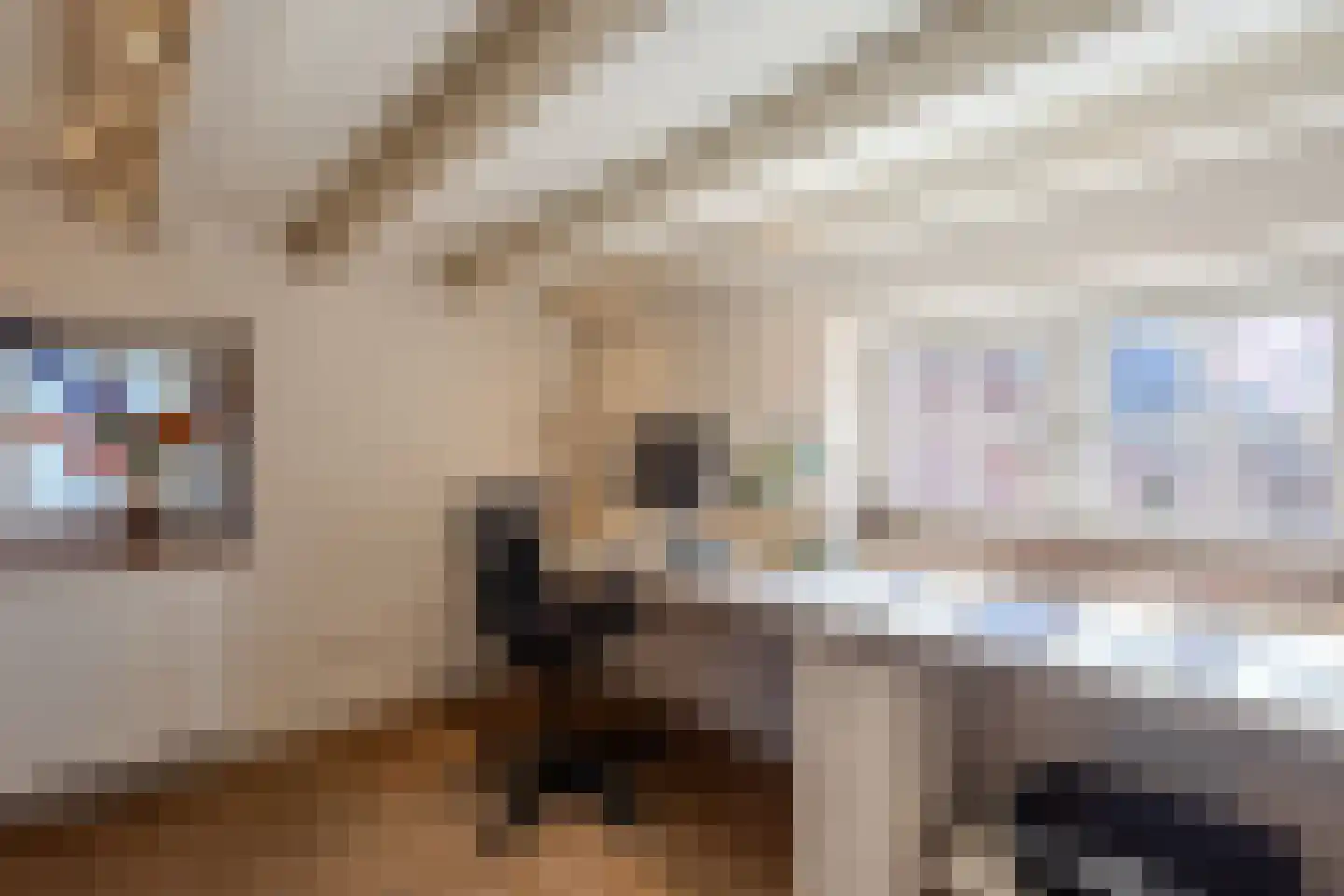 Papenvoorden 8 Oirschot thumbnail 25