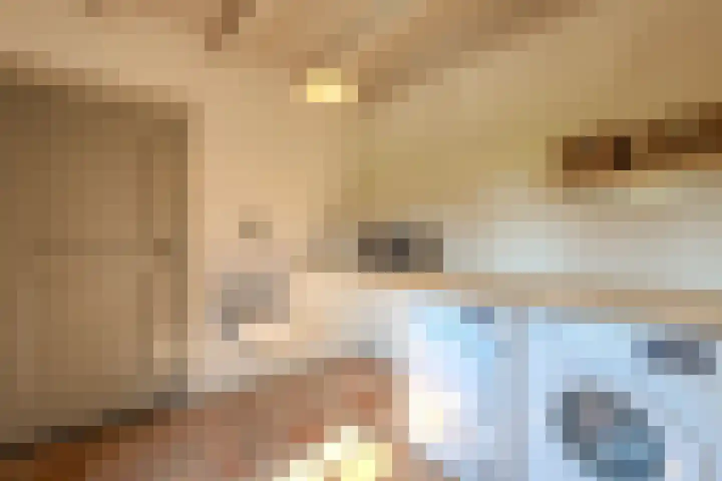 Papenvoorden 8 Oirschot thumbnail 32
