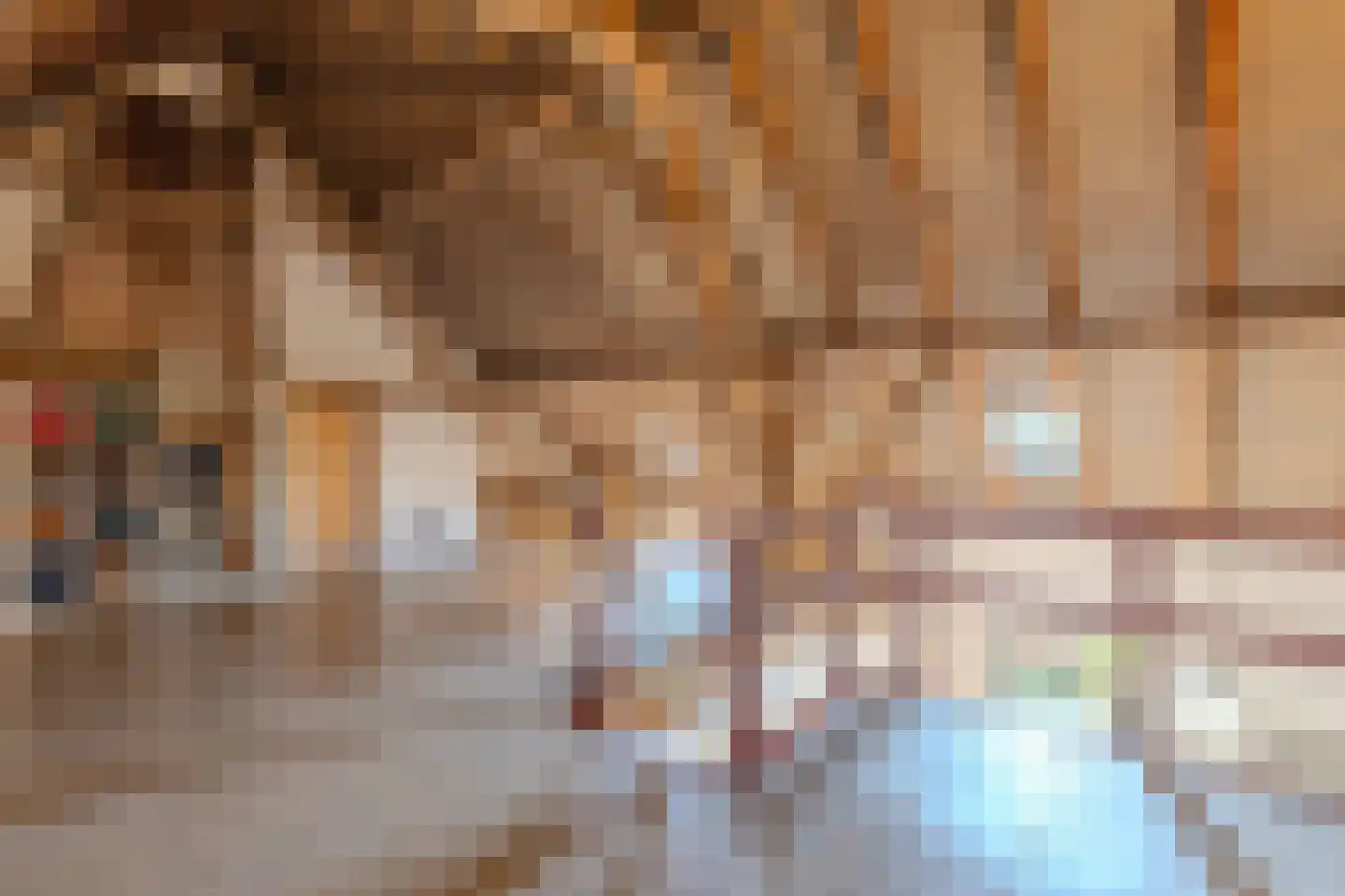 Papenvoorden 8 Oirschot thumbnail 33