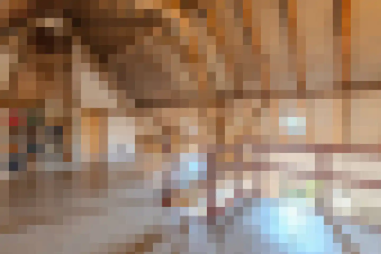 Papenvoorden 8 Oirschot thumbnail 33