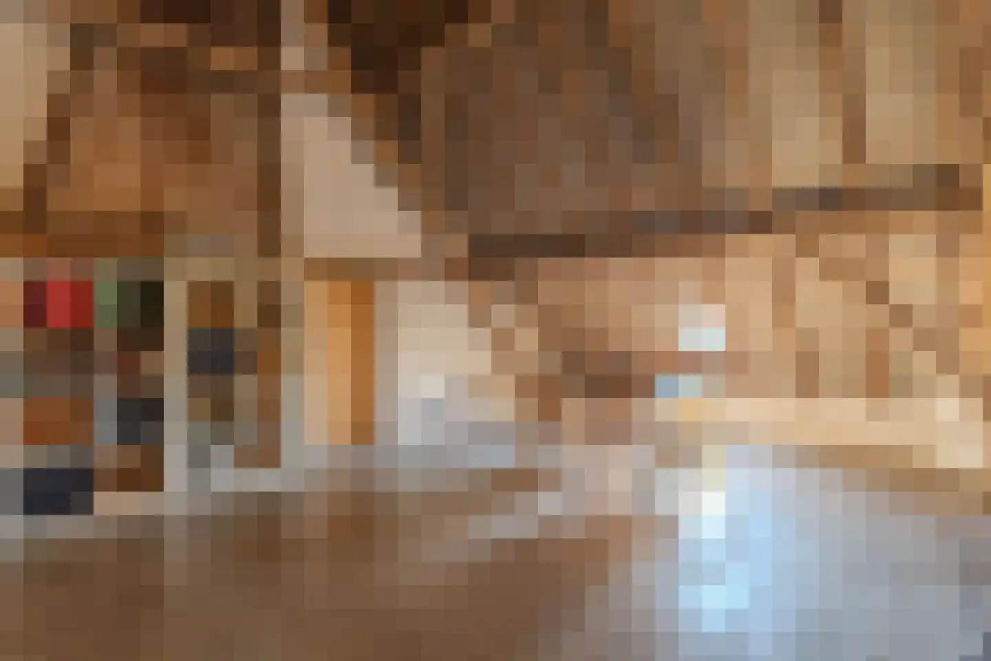 Papenvoorden 8 Oirschot thumbnail 35