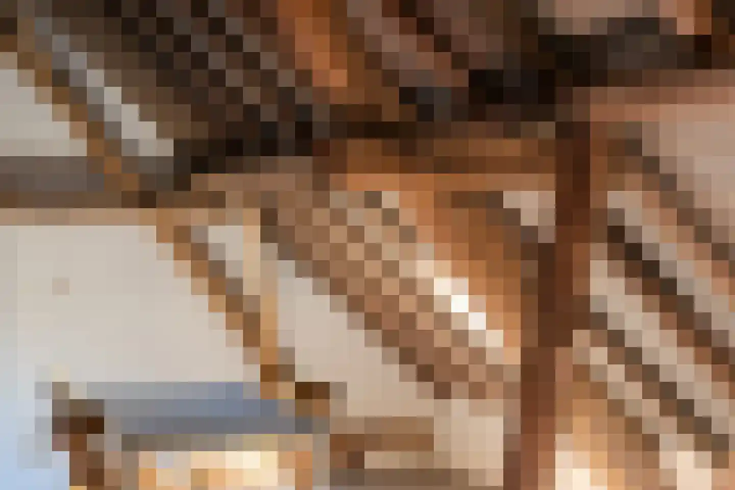 Papenvoorden 8 Oirschot thumbnail 36