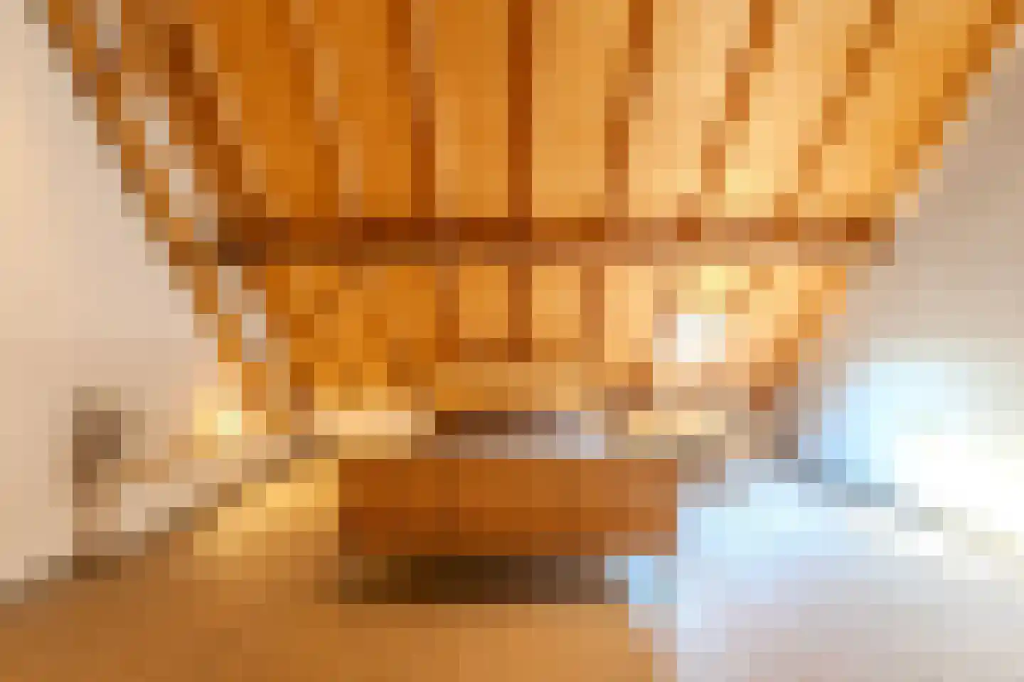 Papenvoorden 8 Oirschot thumbnail 37