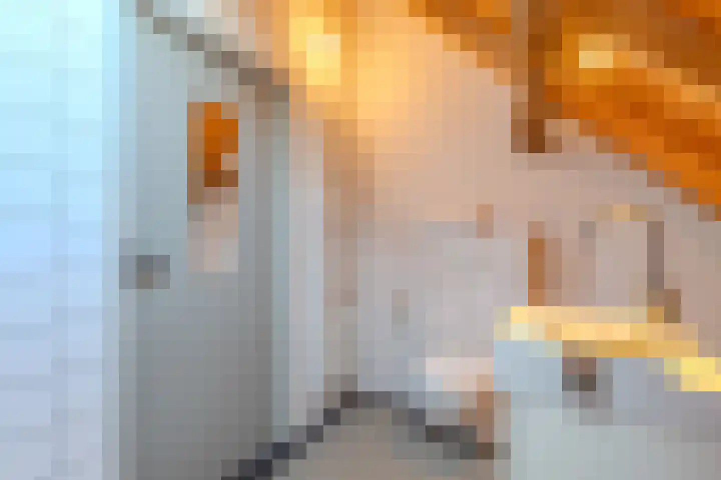 Papenvoorden 8 Oirschot thumbnail 39