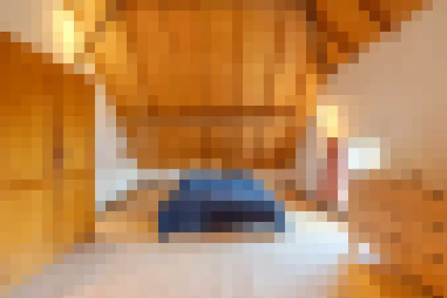 Papenvoorden 8 Oirschot thumbnail 41