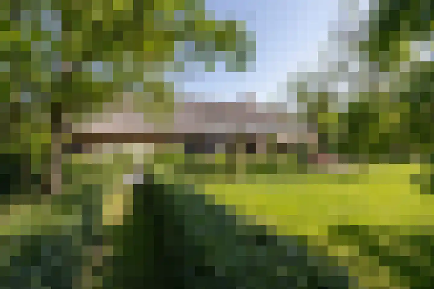 Papenvoorden 8 Oirschot thumbnail 43