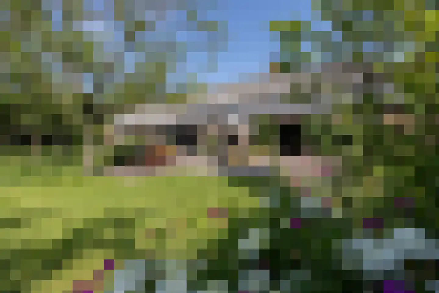 Papenvoorden 8 Oirschot thumbnail 45