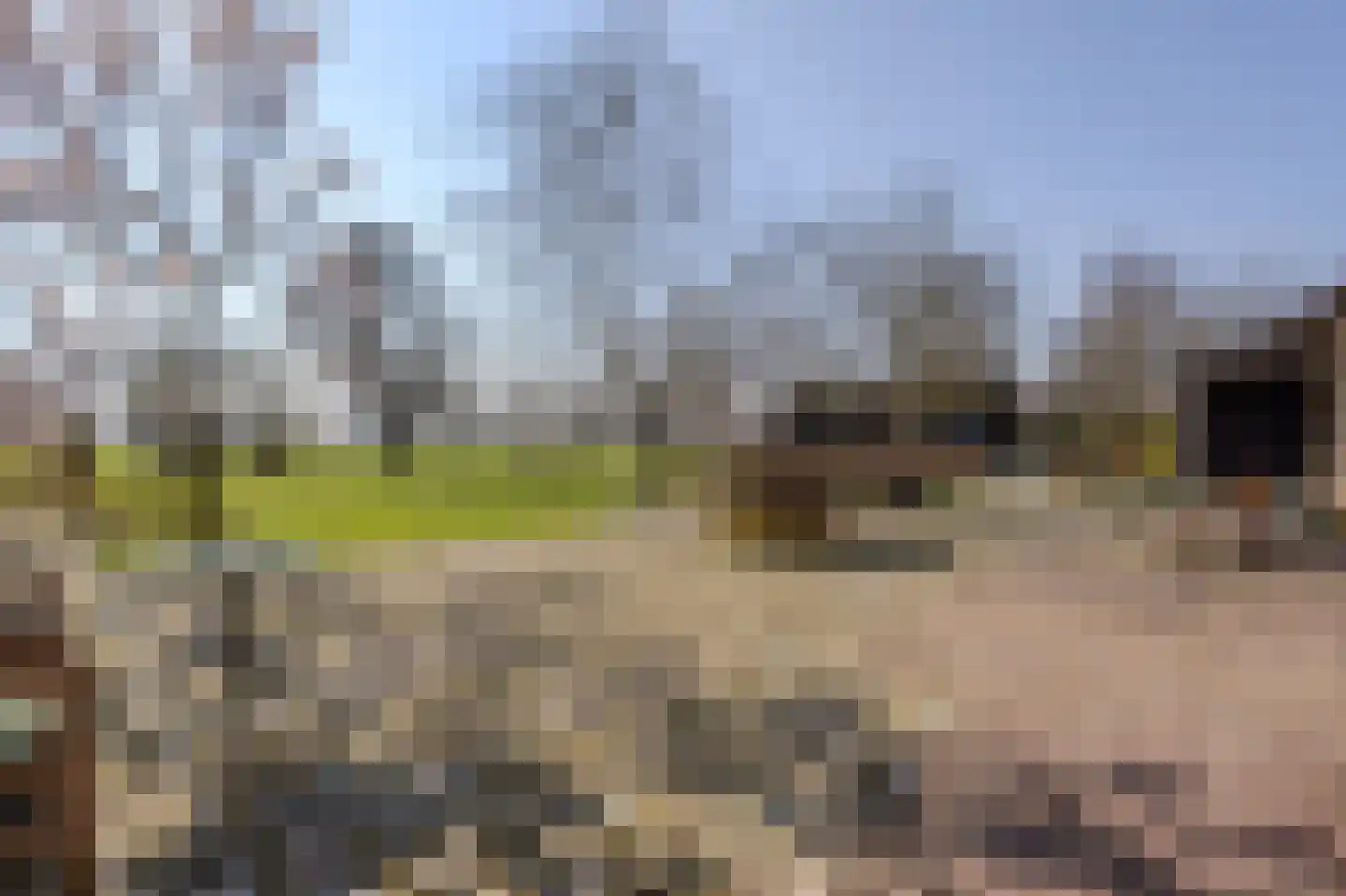 Papenvoorden 8 Oirschot thumbnail 46