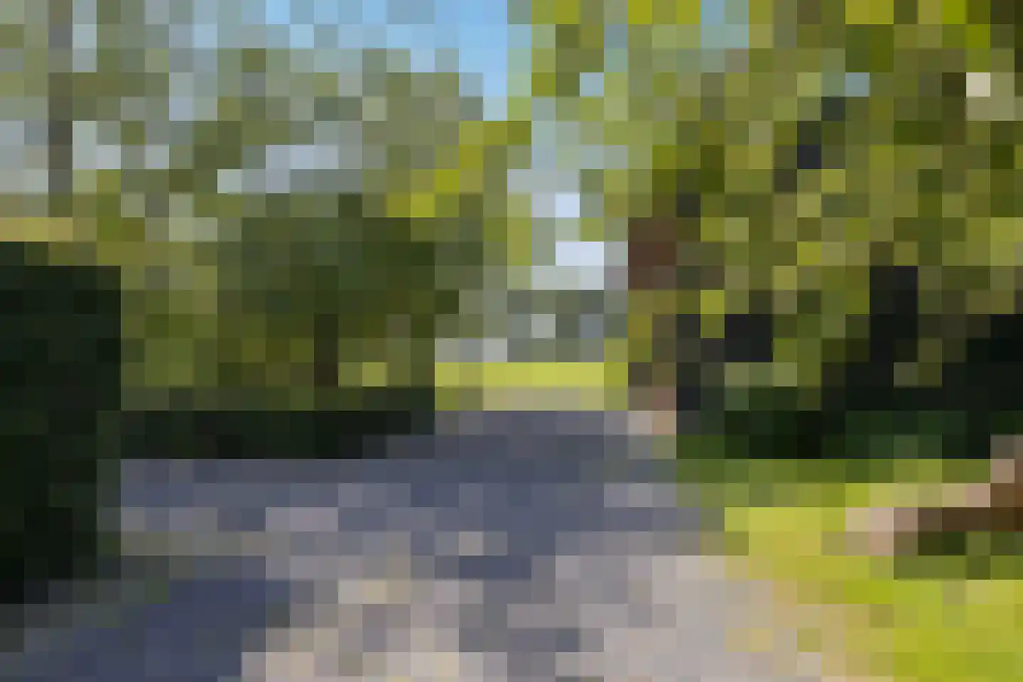 Papenvoorden 8 Oirschot thumbnail 47