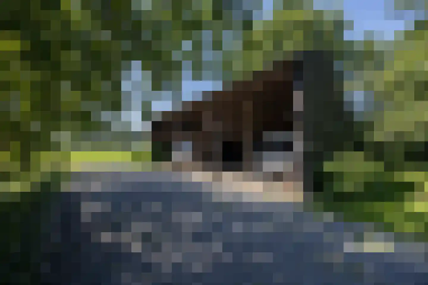 Papenvoorden 8 Oirschot thumbnail 48