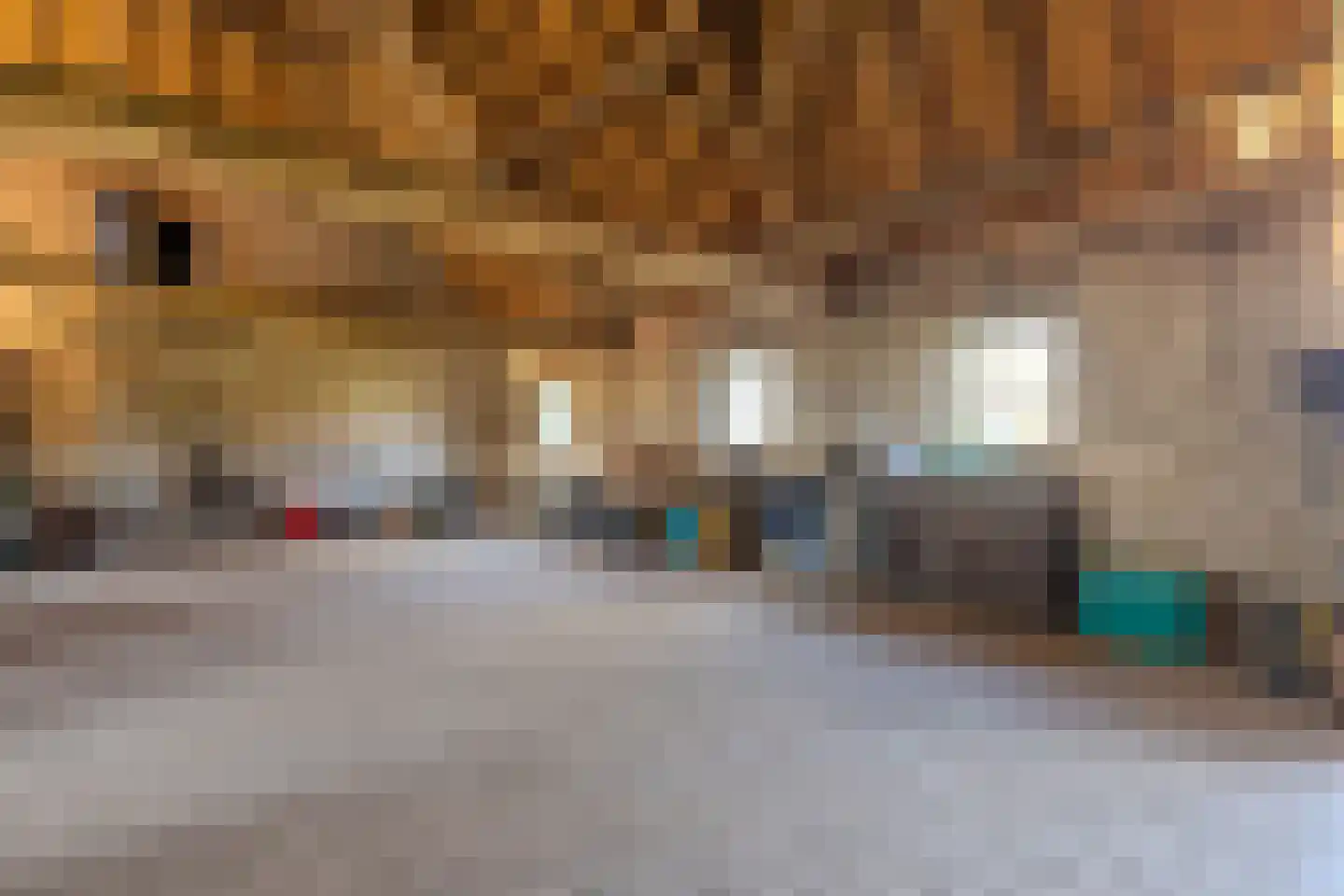 Papenvoorden 8 Oirschot thumbnail 50