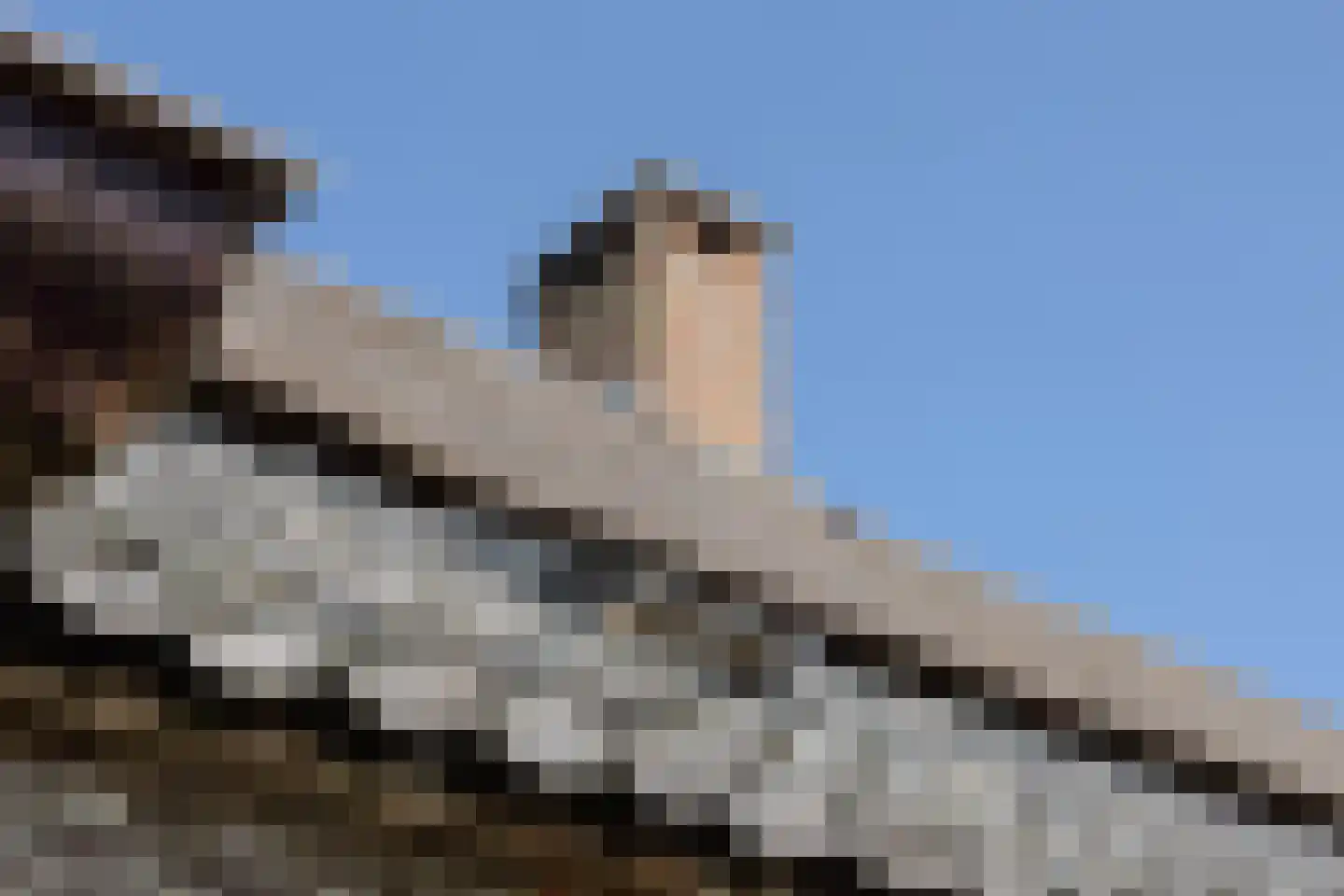 Papenvoorden 8 Oirschot thumbnail 52