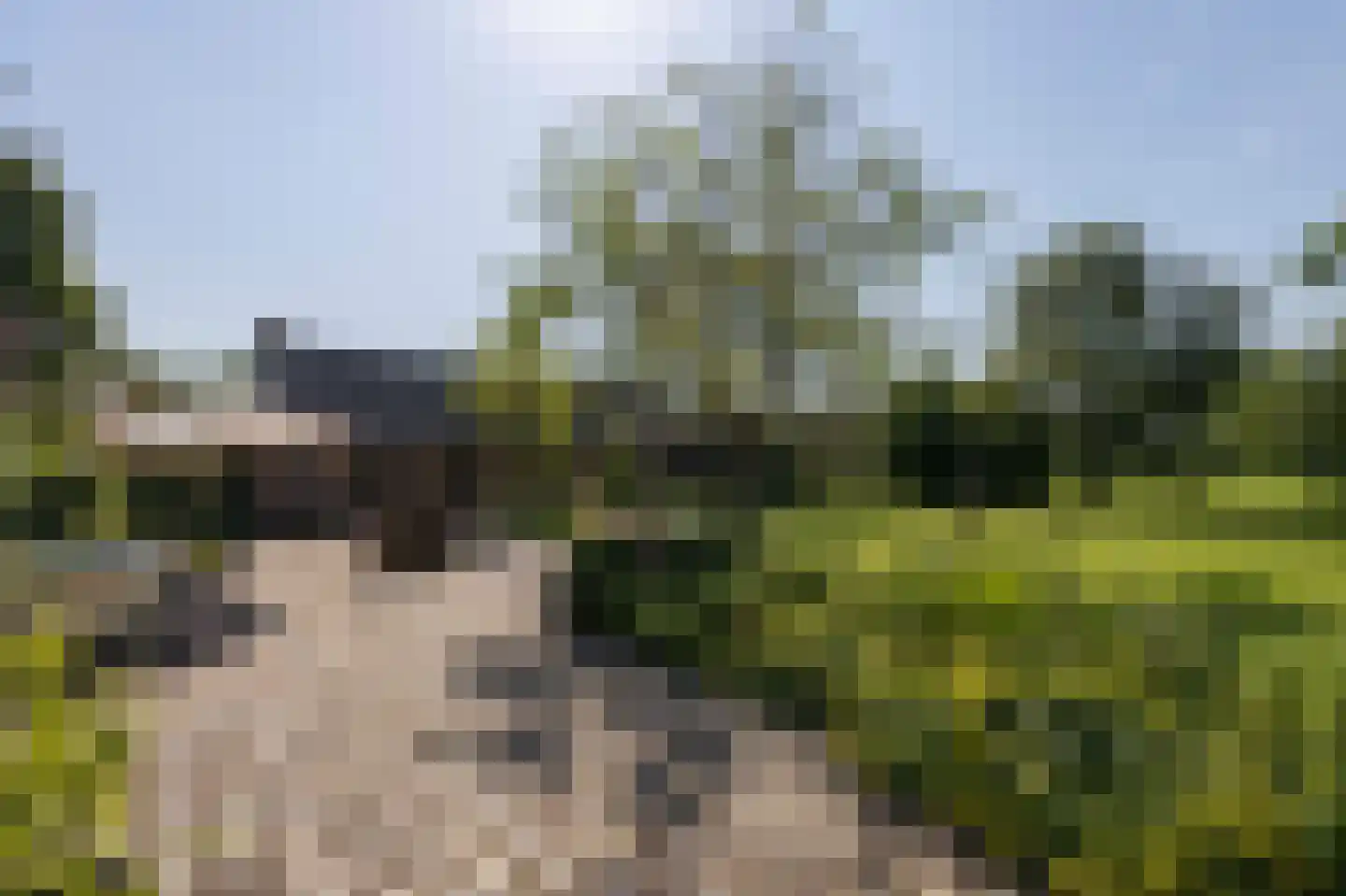 Papenvoorden 8 Oirschot thumbnail 55