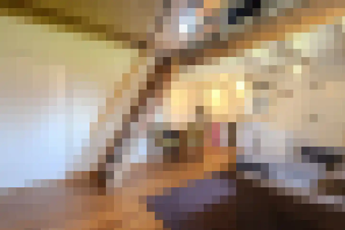 Papenvoorden 8 Oirschot thumbnail 57
