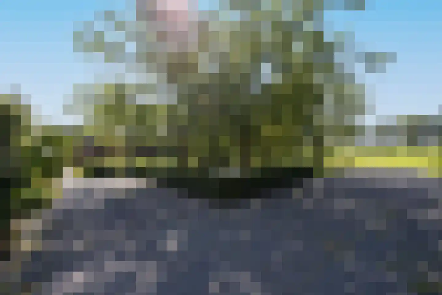 Papenvoorden 8 Oirschot thumbnail 59