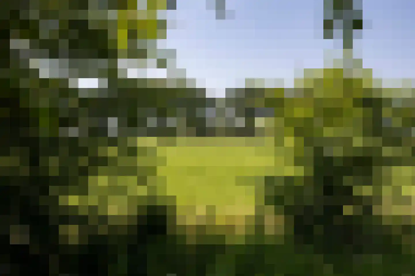 Papenvoorden 8 Oirschot thumbnail 60