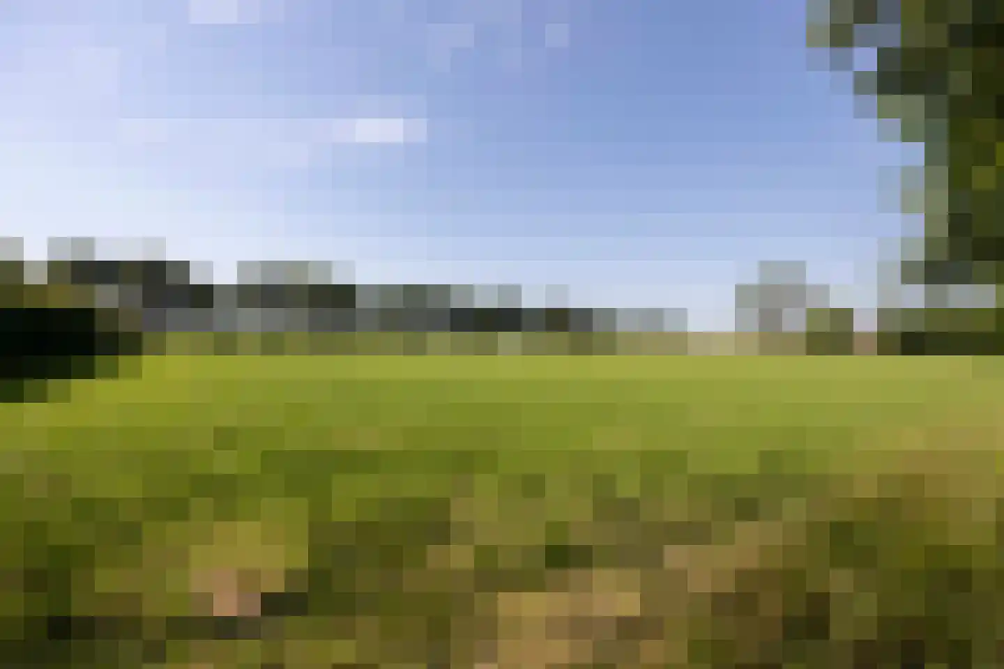 Papenvoorden 8 Oirschot thumbnail 61