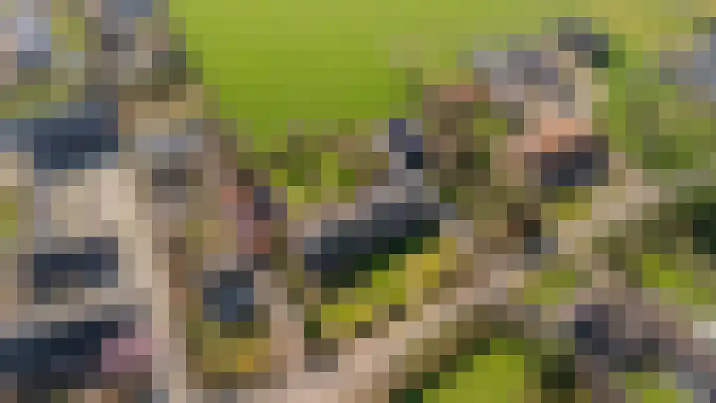 Papenvoorden 8 Oirschot thumbnail 61