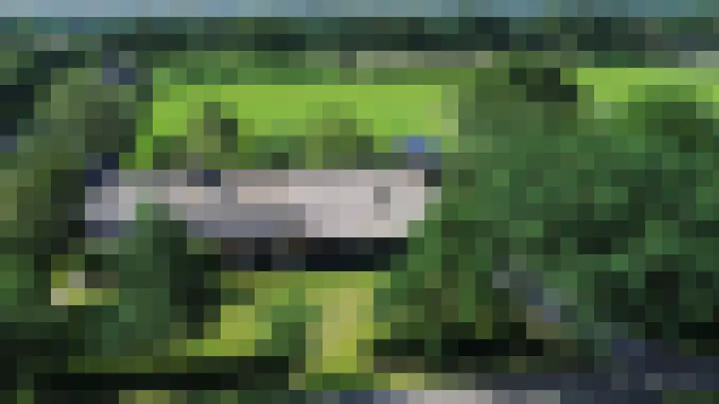 Papenvoorden 8 Oirschot thumbnail 62