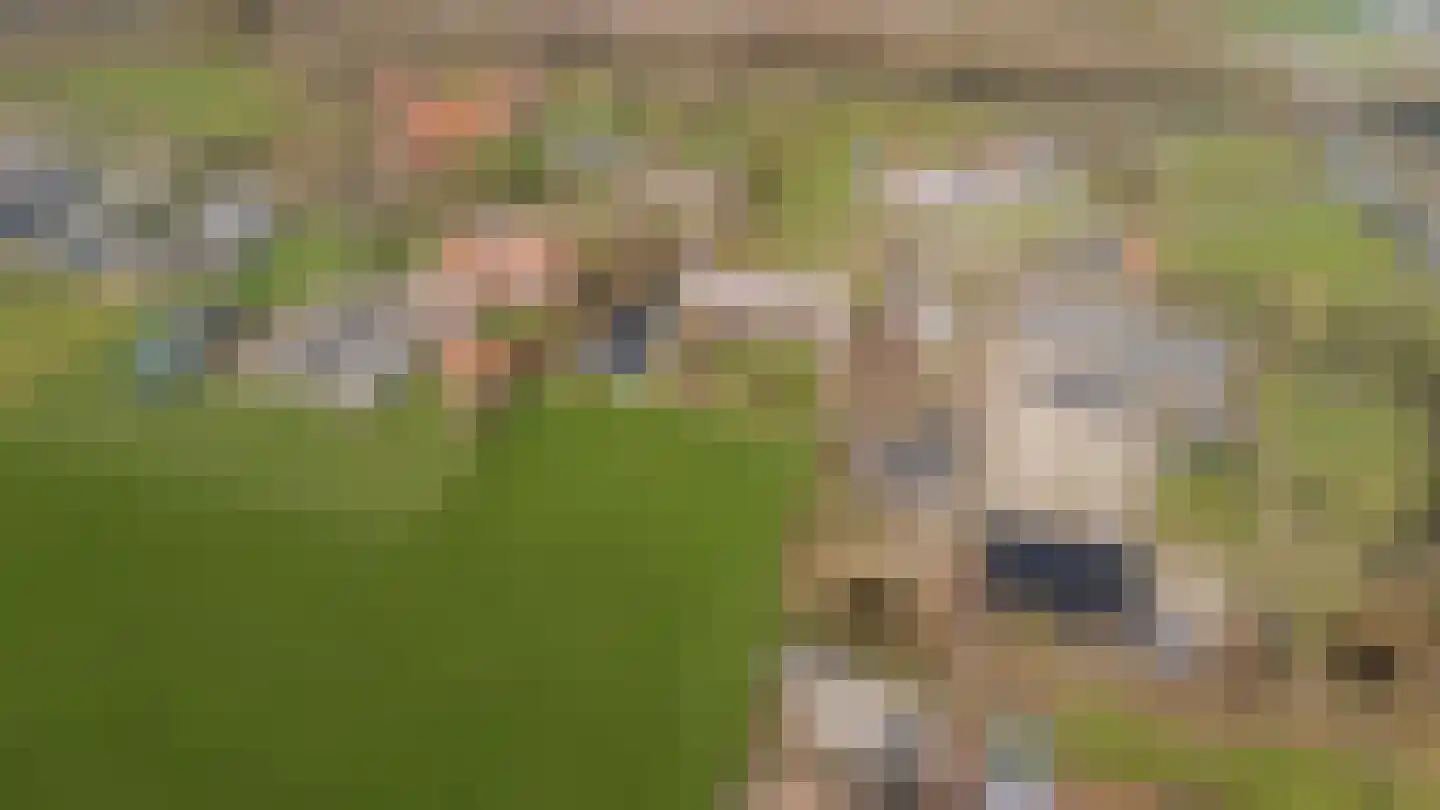 Papenvoorden 8 Oirschot thumbnail 62