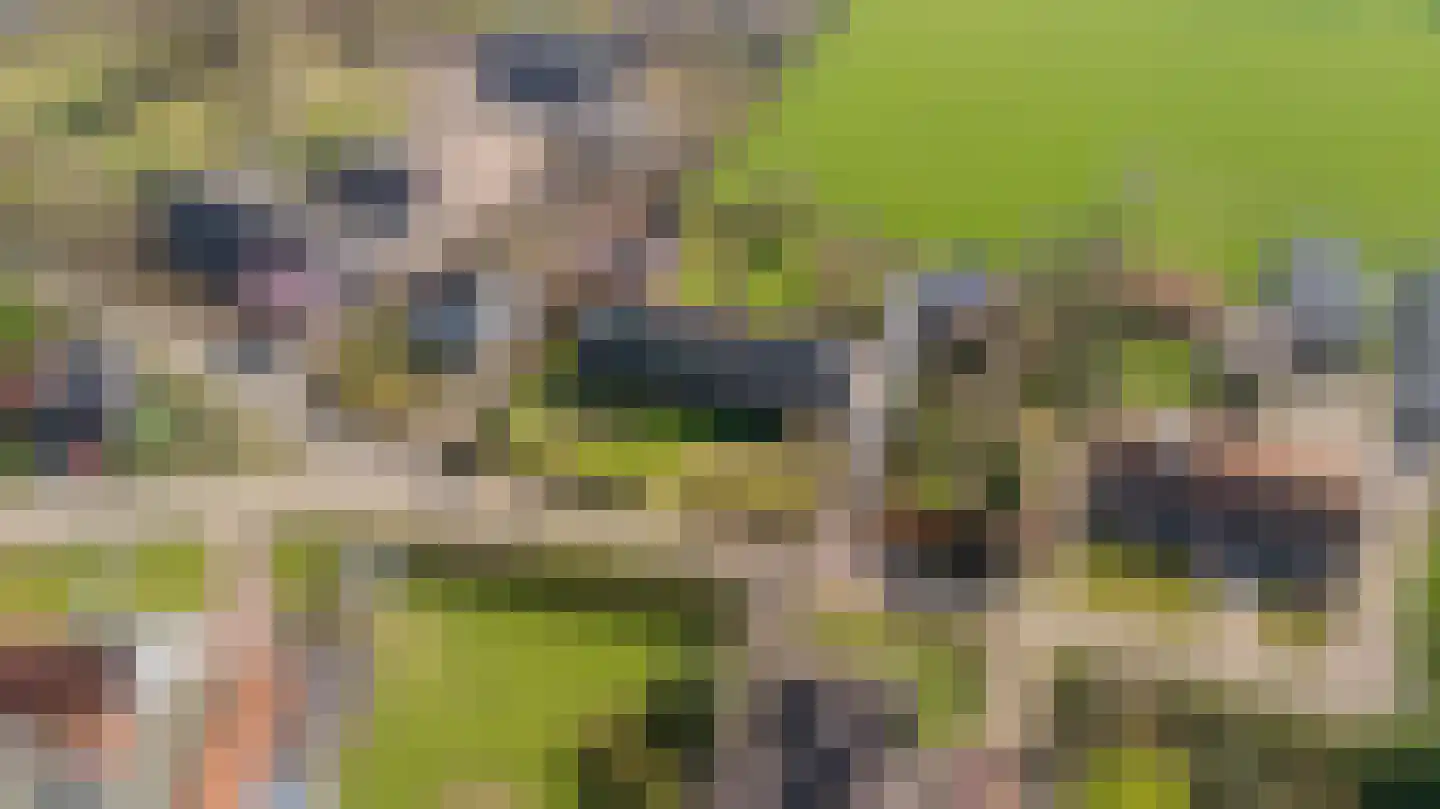 Papenvoorden 8 Oirschot thumbnail 63