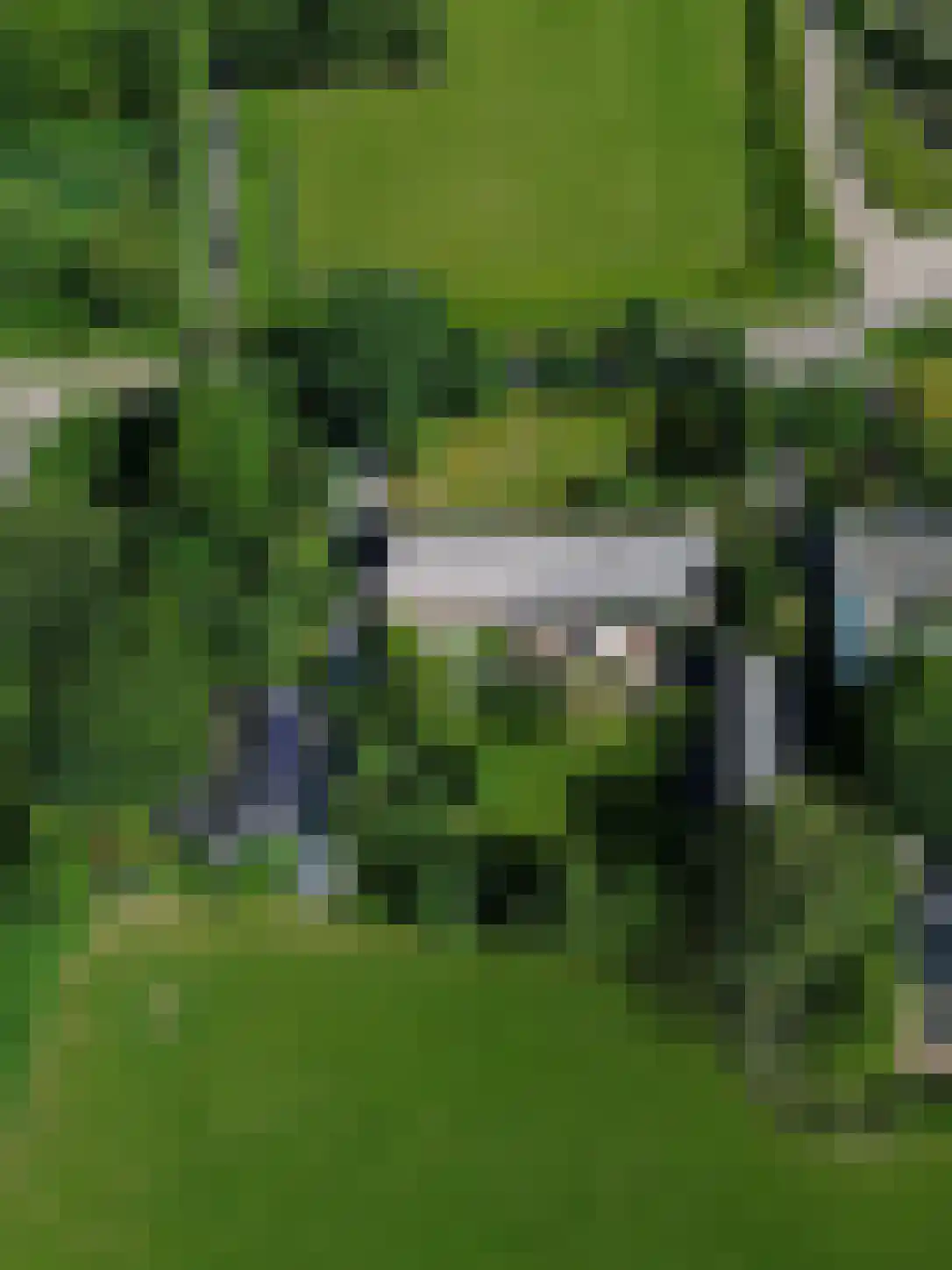 Papenvoorden 8 Oirschot thumbnail 63