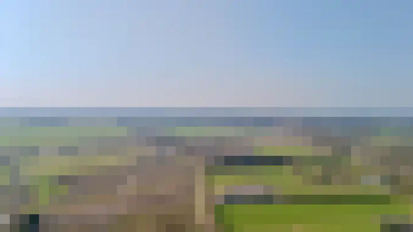 Papenvoorden 8 Oirschot thumbnail 64