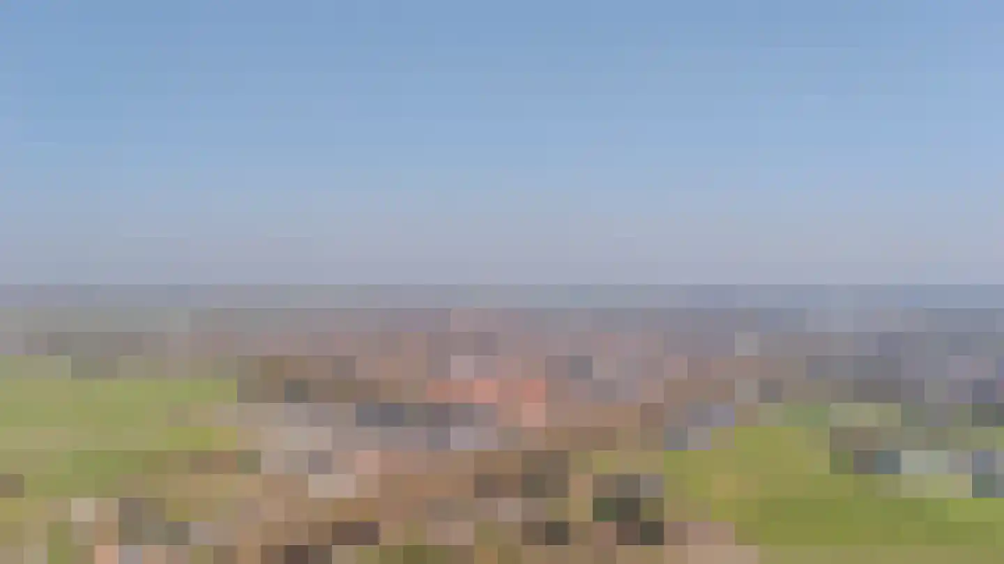 Papenvoorden 8 Oirschot thumbnail 65