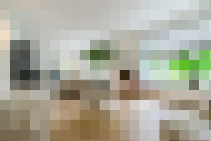 Papenvoort 3 Geldrop thumbnail 10