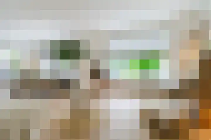 Papenvoort 3 Geldrop thumbnail 11