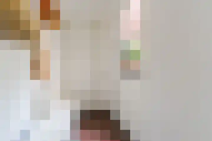 Papenvoort 3 Geldrop thumbnail 16