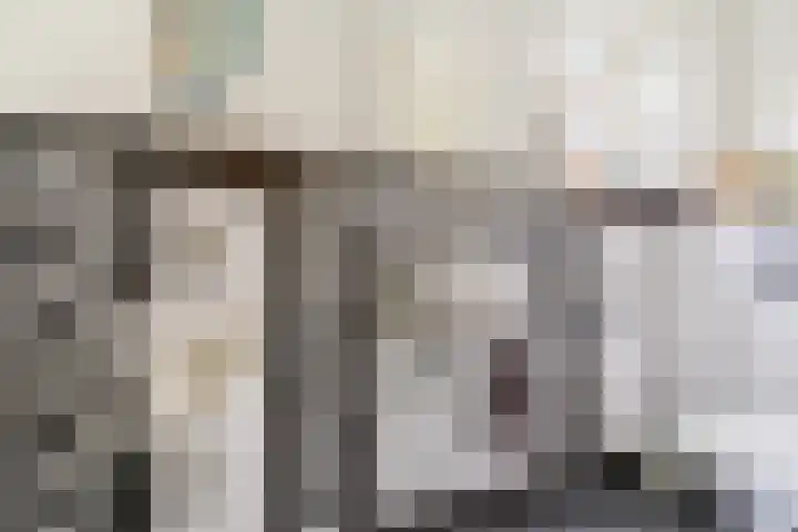Papenvoort 3 Geldrop thumbnail 19