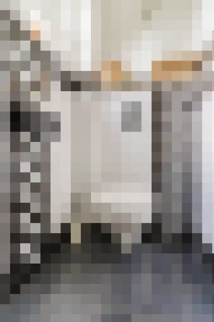 Papenvoort 3 Geldrop thumbnail 21