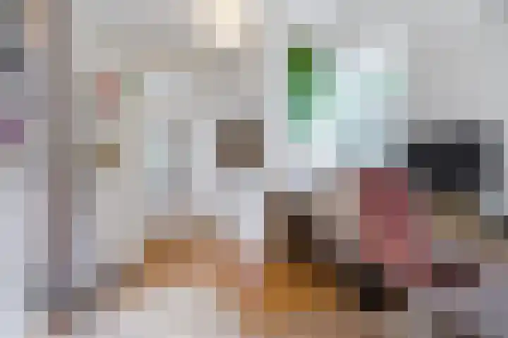 Papenvoort 3 Geldrop thumbnail 22