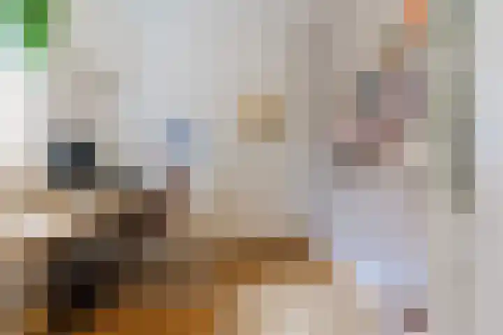 Papenvoort 3 Geldrop thumbnail 23