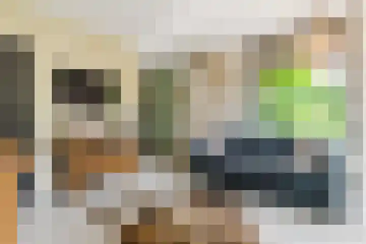 Papenvoort 3 Geldrop thumbnail 26