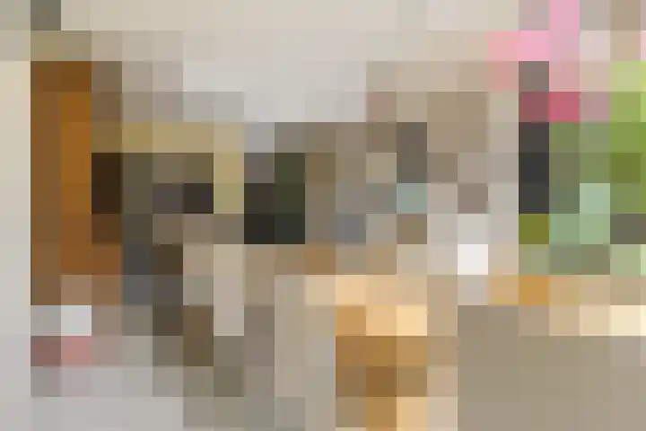 Papenvoort 3 Geldrop thumbnail 27