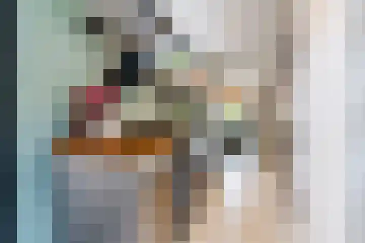 Papenvoort 3 Geldrop thumbnail 29