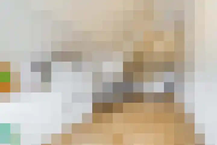 Papenvoort 3 Geldrop thumbnail 35