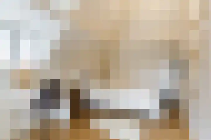 Papenvoort 3 Geldrop thumbnail 36