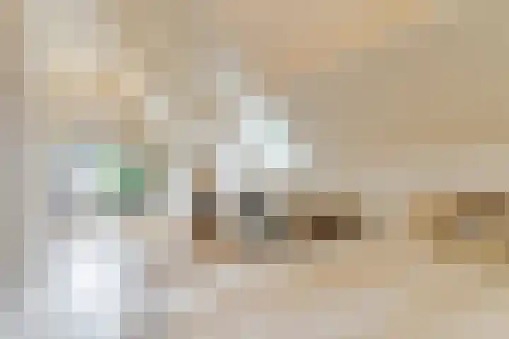 Papenvoort 3 Geldrop thumbnail 37