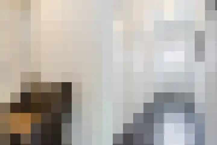 Papenvoort 3 Geldrop thumbnail 4