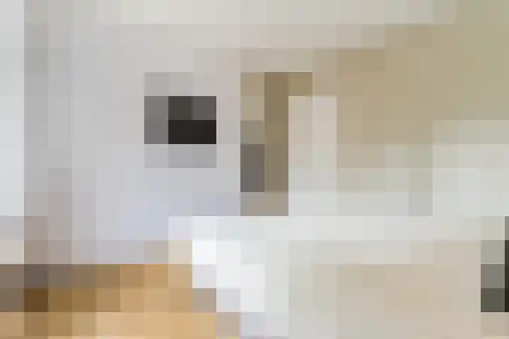 Papenvoort 3 Geldrop thumbnail 40
